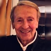 Mr. Paul John Sozzi