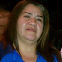 Margarita Mendoza-Aponte