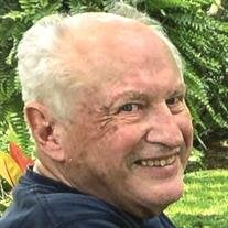 Michael A. J. Ihlenfeldt