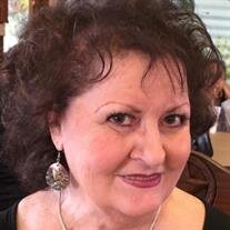 Vickie Ann Holub