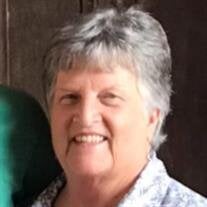 Carolyn Jo Nethery