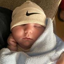 Infant Lane Michael Harsey