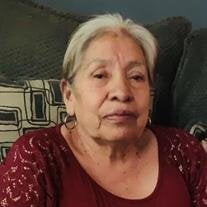 Celia Cabrera