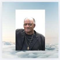 Rev John Williams