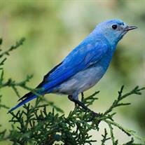 Betty Frances Bradley