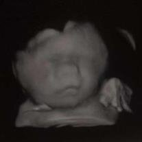 Avery James Amsden