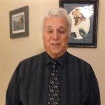 Roger P Araujo