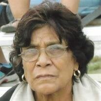 Celia Arreola