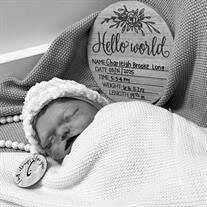 Ms. Charleigh Brooke Long
