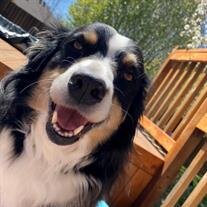 Ranger Cowan
