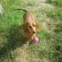 Rosita "Rosie" Wieners