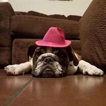 Baby "Sugar Bear" Carranza