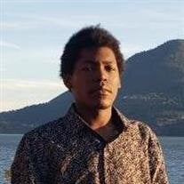Mr. Malik H. Hamilton