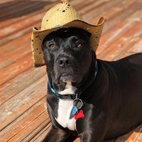 Baxter Hilsheimer