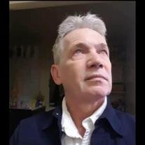 Mr Peter Knapp