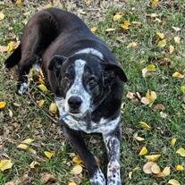 Zeke