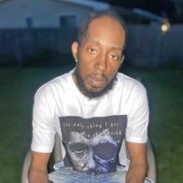 Mr. Colandez Quinn Chapman