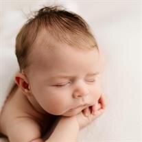 Wells Beckett Northcutt