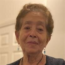 Maria Lucia Avalos Lagunas