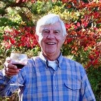 Dr. Louis J. D'Errico