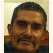 Manuel A Palomino