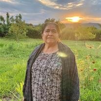 Mrs Maria Elisa Martinez