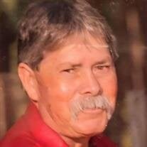 Mr. Don Elbert Williams