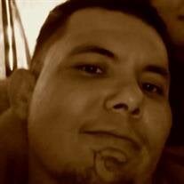 Andrew James Williams