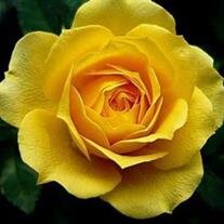 Debra J. Seidel
