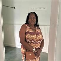 Novellett Jacqueline Sterling (Shine)
