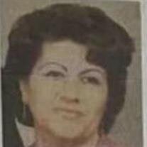 Marzoqa Anwar Fazelat