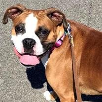 Cali Clymer