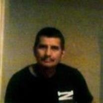 Donain Figueroa