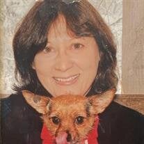 Sue Ann Meier