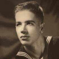 Douglas E. Amend Sr.