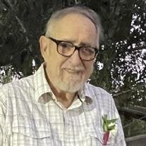 Robert Wayne Armour