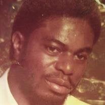 Mr. Michael Van Ramey