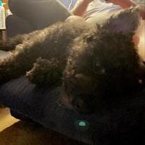 Missy