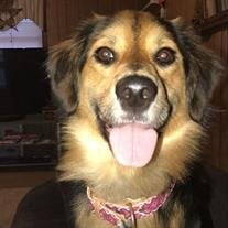 Sadie Burger