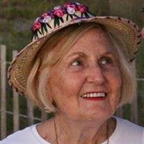 SUE CHITTY LOTT