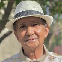Vincente Villanueva Dimalanta