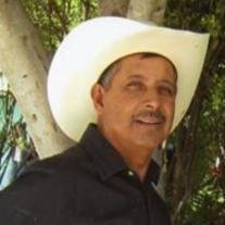 Bruno F. Salazar