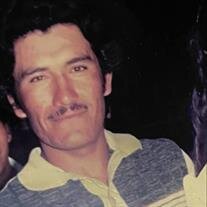 Mr. Rodolfo Cendejas Luviano