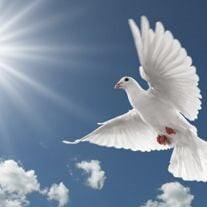 Janet Lehanna Dove