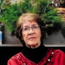 Marianne E. Small