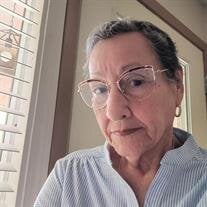 Lourdes Castro
