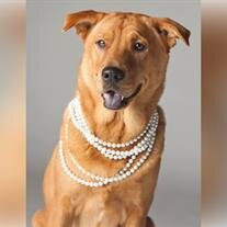 Pearl Butler
