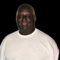 Mr. Robert Lee Alexander