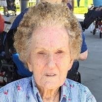 Mary Ann Seibert