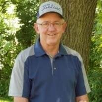 Stephen W Sickels
